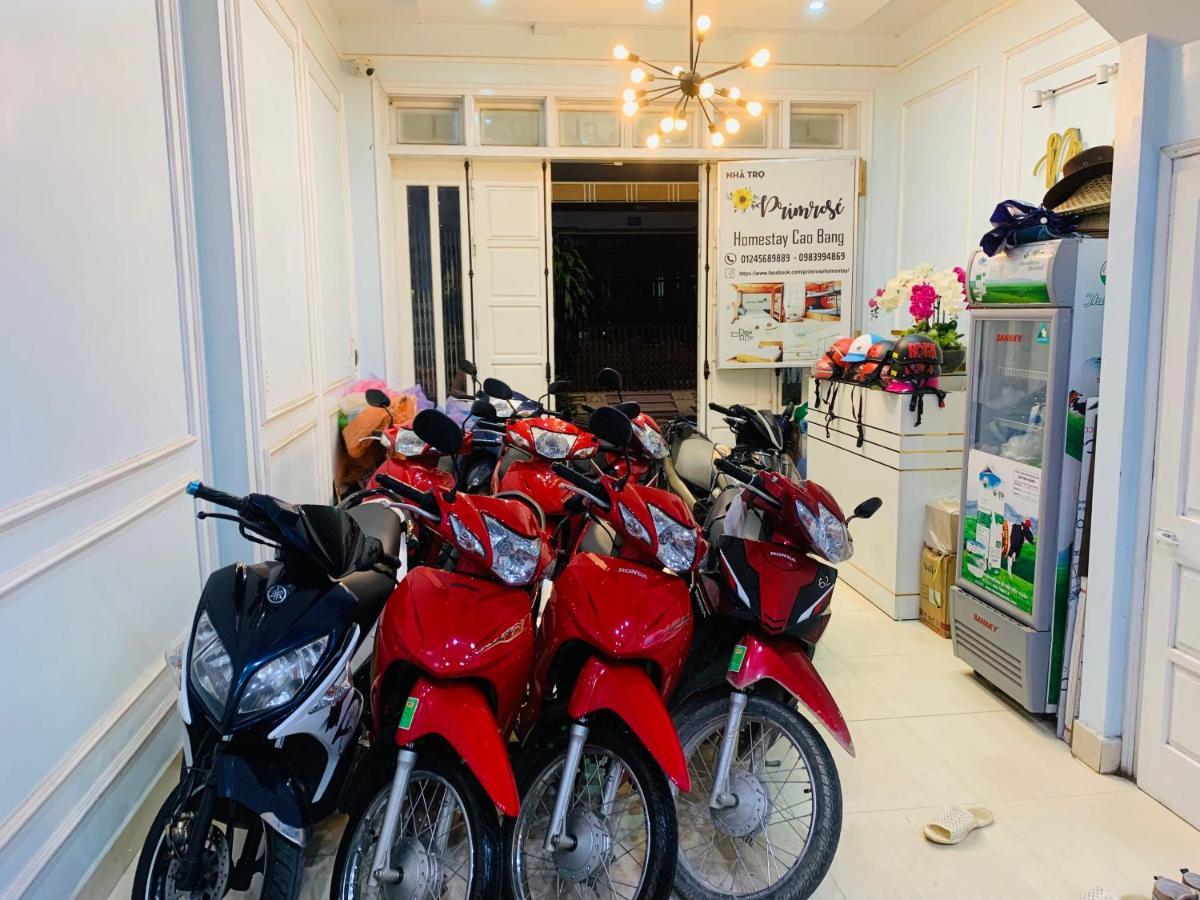 Primrose Homestay كاو بانغ المظهر الخارجي الصورة