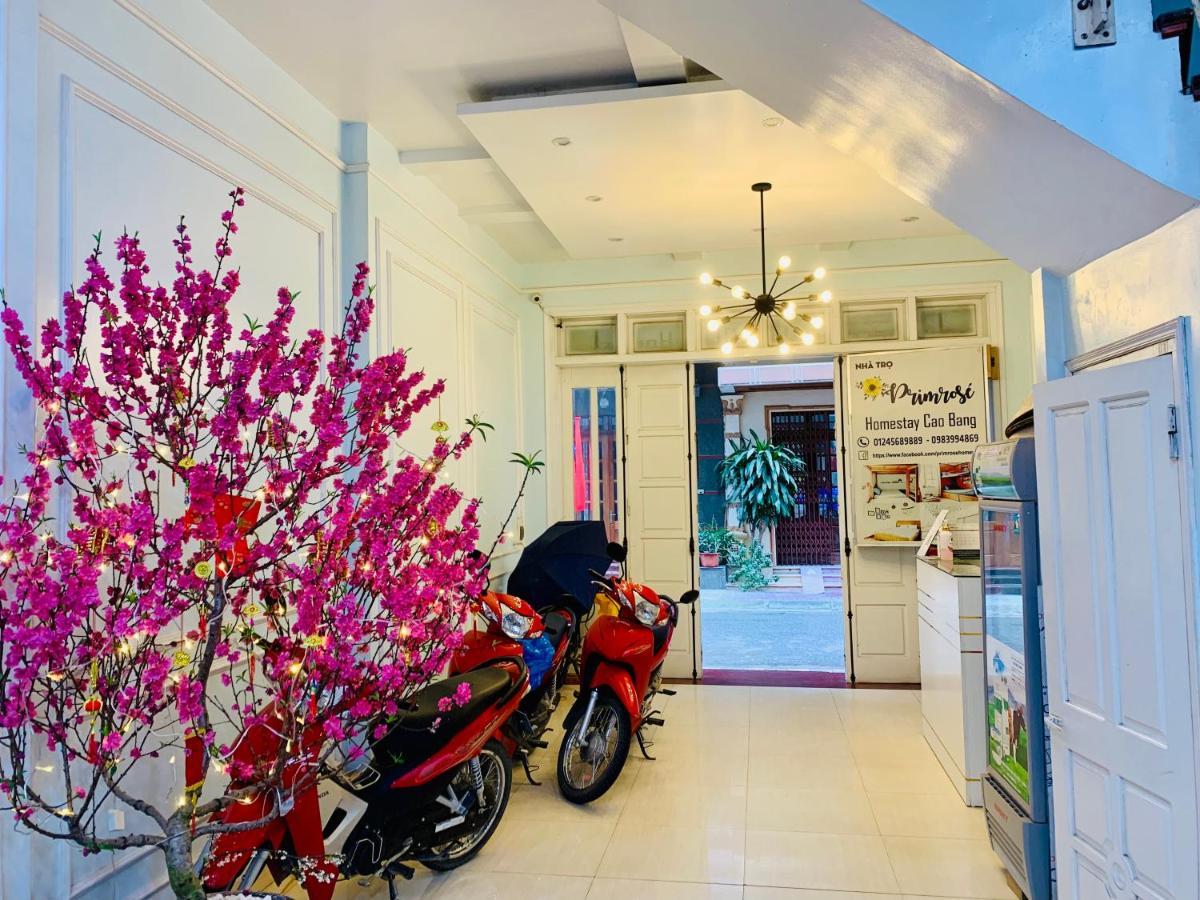 Primrose Homestay كاو بانغ المظهر الخارجي الصورة