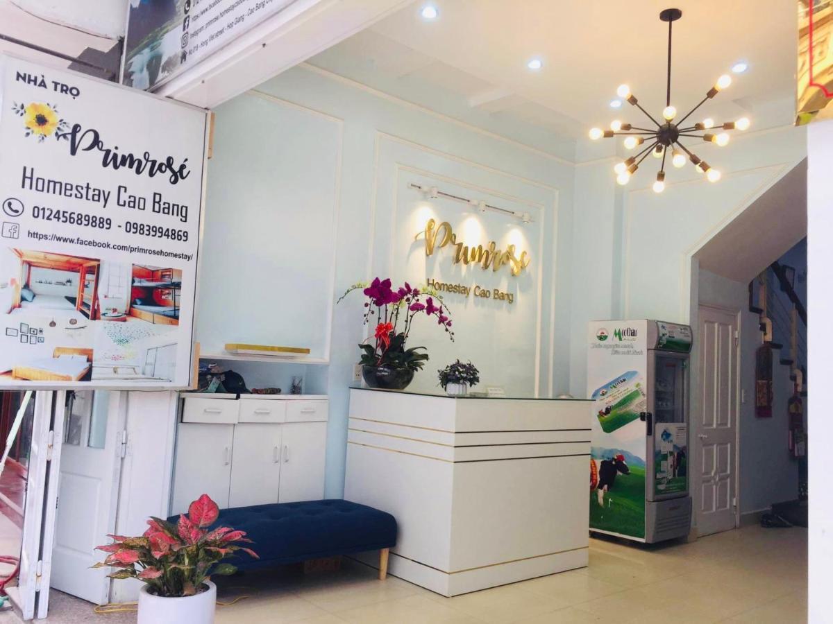 Primrose Homestay كاو بانغ المظهر الخارجي الصورة